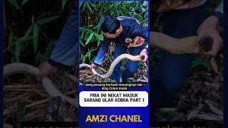 Download lagu THIS MAN DESPERATELY ENTERED A COBRA'S NEST PART 1 mp3 Download lagu THIS MAN DESPERATELY ENTERED A COBRA'S NEST PART 1 mp3