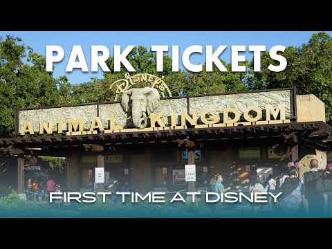 image-Where do I pick up my Disney World tickets?