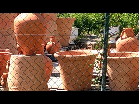 capitulo 30 campeones hacia el mundial oliver y benji 30 en español de españa