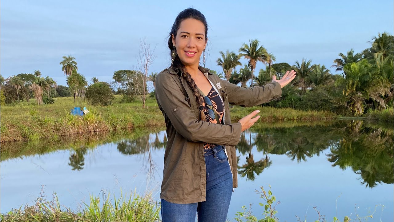 A quantidade ideal de peixes em viveiro escavado sem aerador.