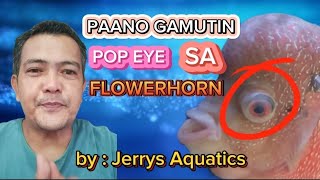 PAANO GAMUTIN POP EYE SA FLOWERHORN FISH