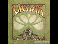 Vassar [1980] - Vassar Clements Band