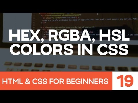HTML & CSS for Beginners Part 19: Colors with CSS - hex, rgba, and hsla