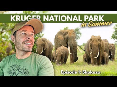 Is The Kruger National Park Worth Visiting in Summer? Let’s Find Out