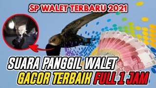 Download lagu SUARA PANGGIL WALET TERBAIK FULL 1 JAM mp3 Download lagu SUARA PANGGIL WALET TERBAIK FULL 1 JAM mp3