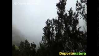 preview picture of video 'El Chorro del Cedro en la isla de La Gomera - deportenatura'
