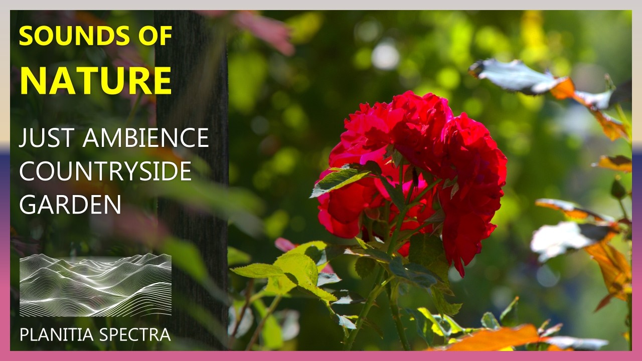 Ambient Sounds of a Countryside Garden | Slovakia | Sounds of Nature | 4K | 60 fps