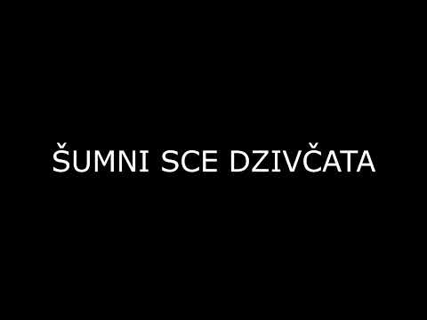ŠUMNI SCE DZIVČATA - Vladimir VARGA