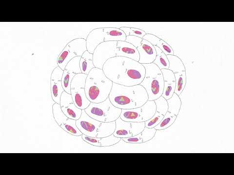 Tereza Matějčková: Bůh je mrtev. Nic není dovoleno. (Echo Media)