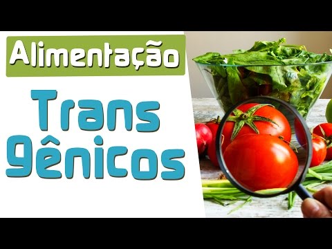 Alimentos Transgênicos | Biosfera