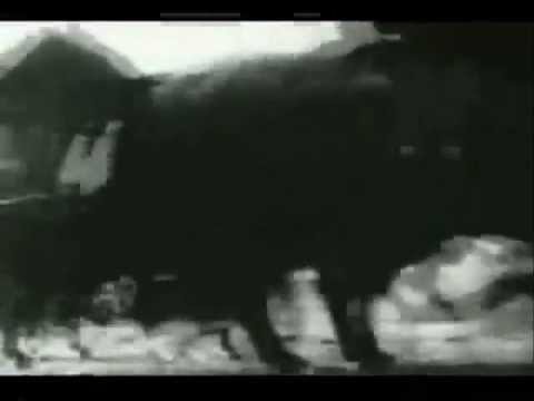 JACKIE PAPER - All is All
