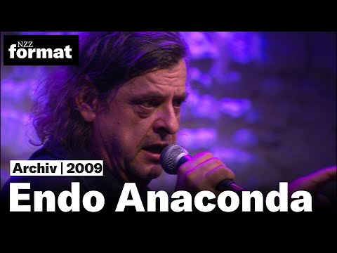 Bern-Safari. Mit Endo Anaconda (2009)