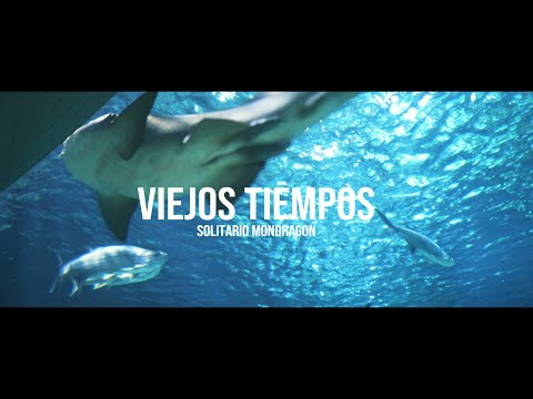 Solitario Mondragon - Viejos Tiempos (Video Oficial)