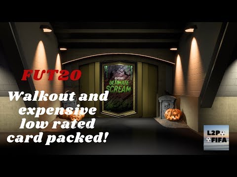 WE GOT A WALKOUT AND EXPENSIVE LOW RATED PLAYER! - FIFA 20 ULTIMATE TEAM PROMO PACKS!