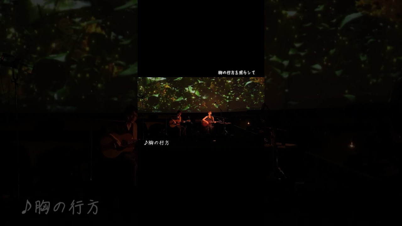 KEIKO / 『胸の行方』 #keiko #shorts