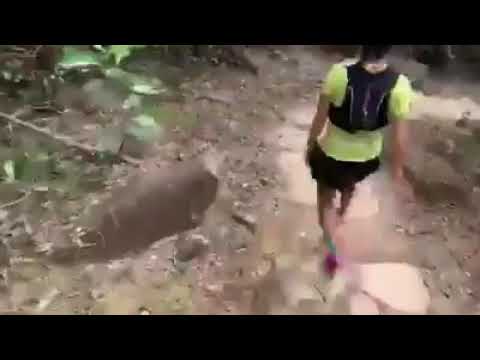 Hk100 2019 top female