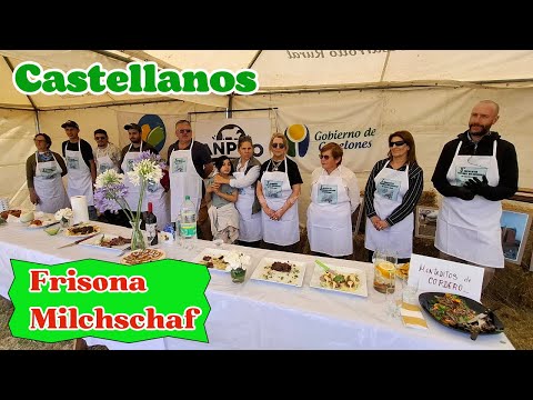 Un encuentro con la Frisona Milchschaf