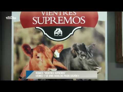 Rodrigo Fernández - Frigorífico Modelo