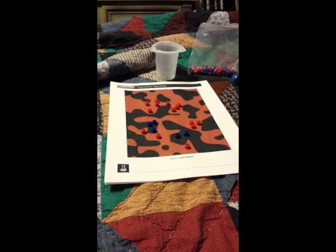 Lab 15 Population Genetics