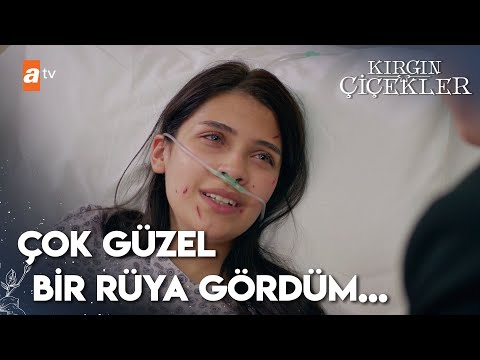 Eylül uyanıyor | Kırgın Çiçekler