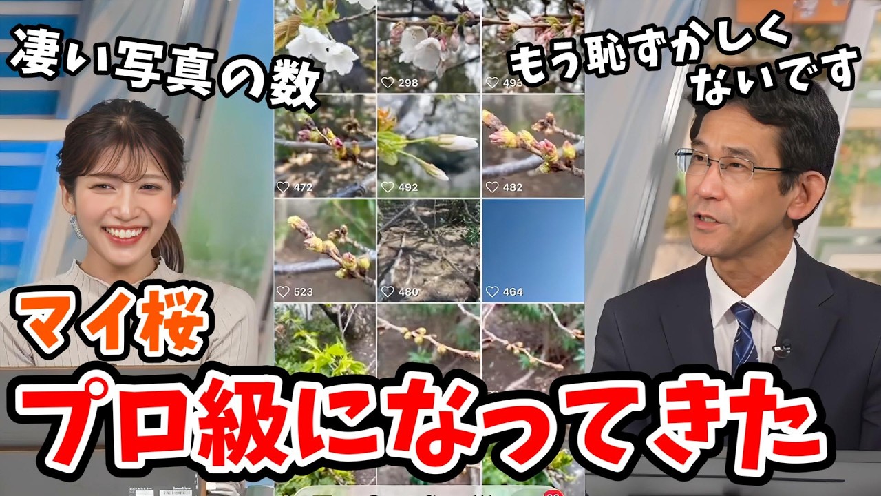 【岡本結子リサ・山口剛央】マイ桜対決！どんどん写真が上手くなる山口さん！すっかり桜にハマってしまう【ウェザーニュース切り抜き】