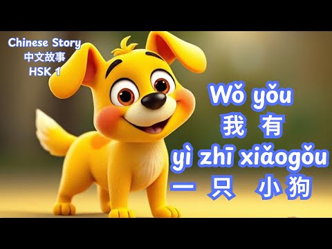 Beginner Chinese Story HSK 1 Listening & Reading Practice｜I have a dog 🐶我有一只小狗
