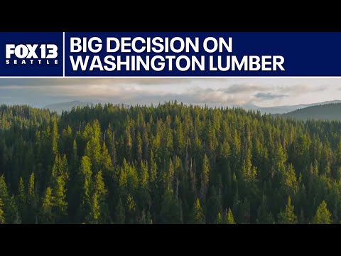 Future of WA lumber business up in the air | FOX 13 Seattle