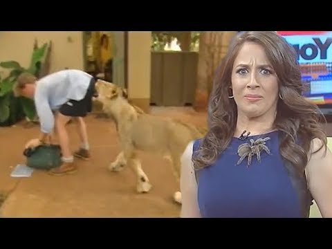 Best Animal News Bloopers Compilation 2018