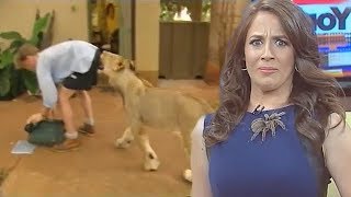 Best Animal News Bloopers Compilation 2018