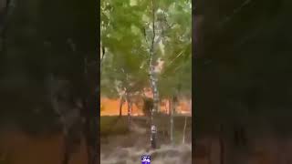 Incendiu într-un poligonmilitar din estul Olandei #digi24 #știriledigi24