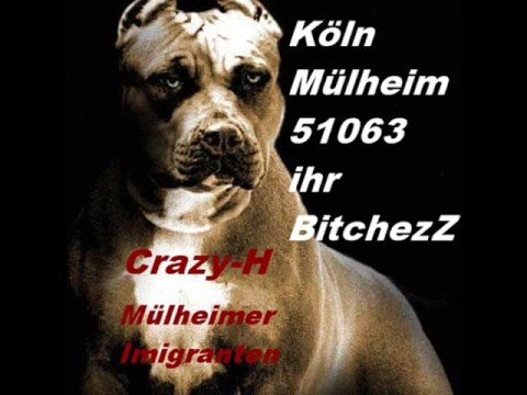 Crazy-H-Mülheimer Imigranten