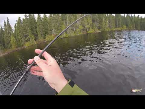6/2/19 Glitter lake, ON. Northern Wilderness Outfitters