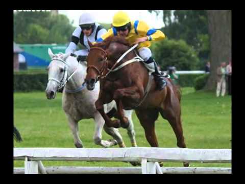 Favorité do 121.Velké Pardubické České Pojíšťovny...