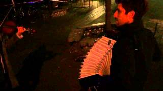 Beirut On a Bayonet & The Shrew