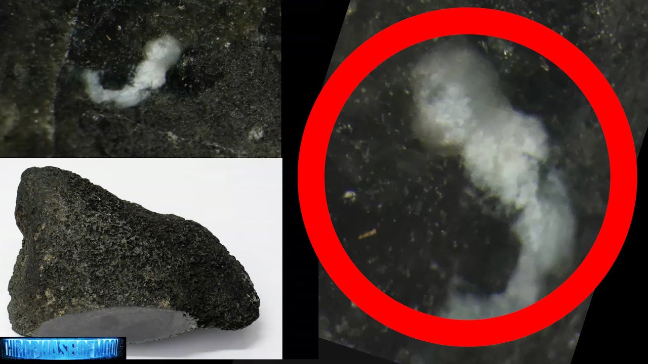 Major Discovery! NASA TEST Crystallized Humanoid In Moon Meteorite? 2020-2021