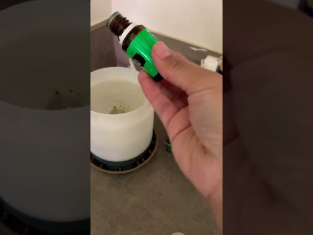 Vídeo relacionado con Antica Farmacista Hana Lei Difusor de varillas, 16.9 onzas líquidas