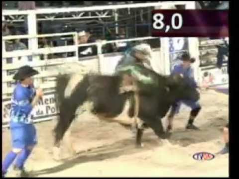 OURO FINO 5ª LUGAR FINAL 2016