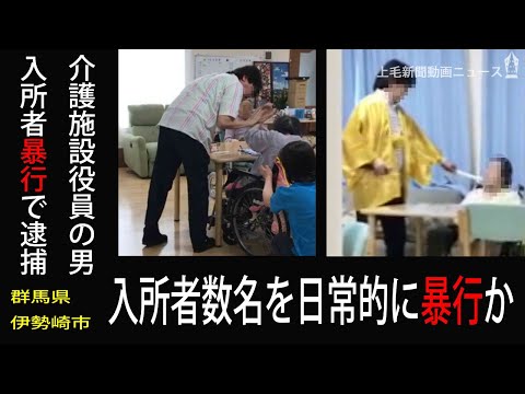 ソレイユ科について詳しく解説