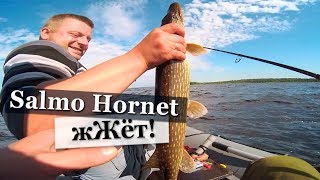 Как ловить щуку на ладожском озере