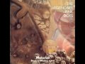 The Legendary Pink Dots - We Bring The Day, pt 1