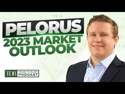 Pelorus Equity's Competitive Advantages Explained