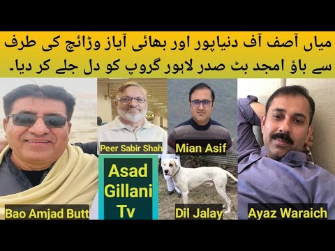 Very Beautiful Dog Gifted by Mian Asif and Ayaz Waraich to Sadar Pak lahore Grp Bao Amjad Butt