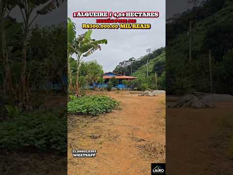 🔥🌿BAIXOU O PREÇO SÍTIO ESPERANÇA 4.84 HECTARES 300.000,00 REGIÃO POTE-MG 🌿🌴