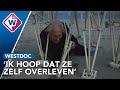 Strandbeesten trekken door de wind langs de kust: 'Ik creëer een nieuw diersoort' - OMROEP WEST