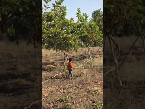 Bahubali Farm House 😊 ||Avishi World