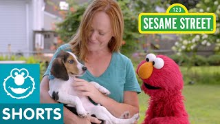 Sesame Street: Elmo Helps a Puppy Find a Home with Dodo Kids!