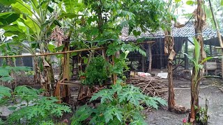 Download lagu Suasana pagi di Wonosari gunung kidul mp3