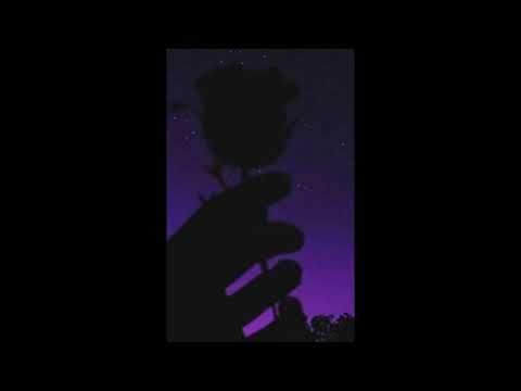 (1 hour) Vancouver Sleep Clinic - Someone To Stay