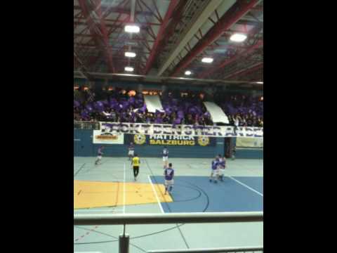 Salzburger Stier 2010