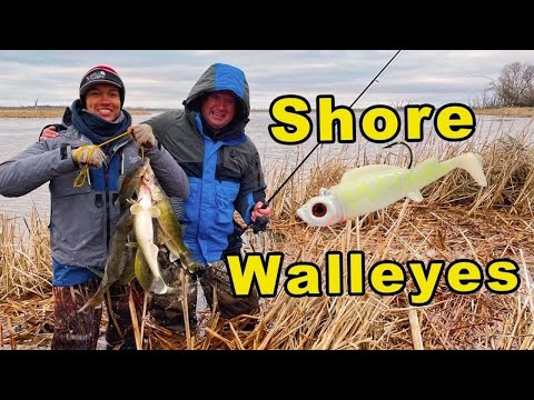 Shore Fishing Walleye